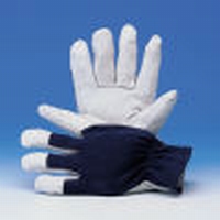 Nappalederen handschoen model Tropic, Cat.2