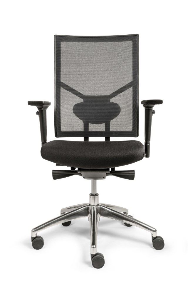 Ergo-Offisk-X1, verstelbare rug mesh of stof en lendensteun