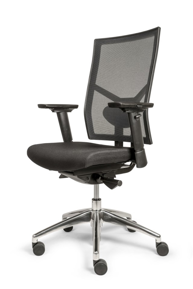 Ergo-Offisk-X1, verstelbare rug mesh of stof en lendensteun
