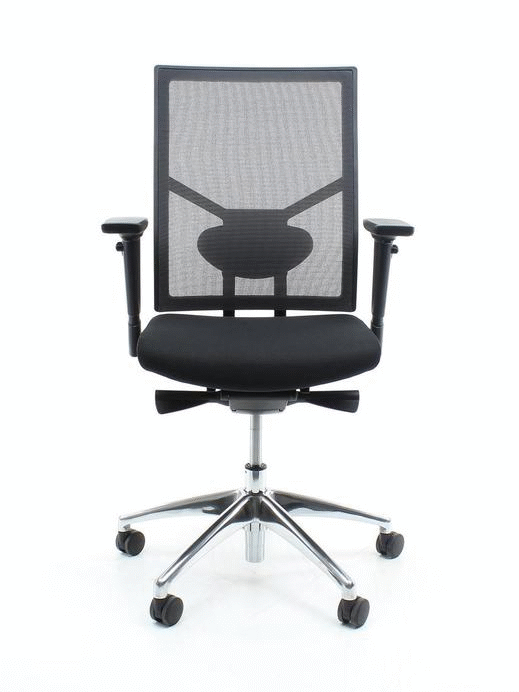 Ergo-Offisk-X1, verstelbare rug mesh of stof en lendensteun