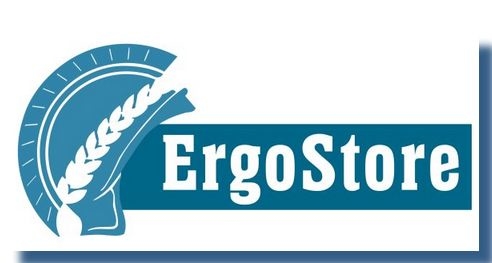 Logo ErgoStore webwinkel - als je met je handen én je hoofd werkt